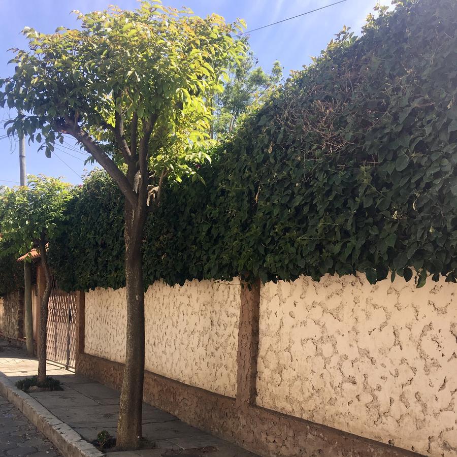 Apartamento Con Jardin Кочабамба Екстериор снимка